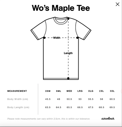 Waterfall Way VW Bash 2026 – Women’s Classic Logo Tee